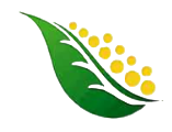 Kishori Vatika resort logo